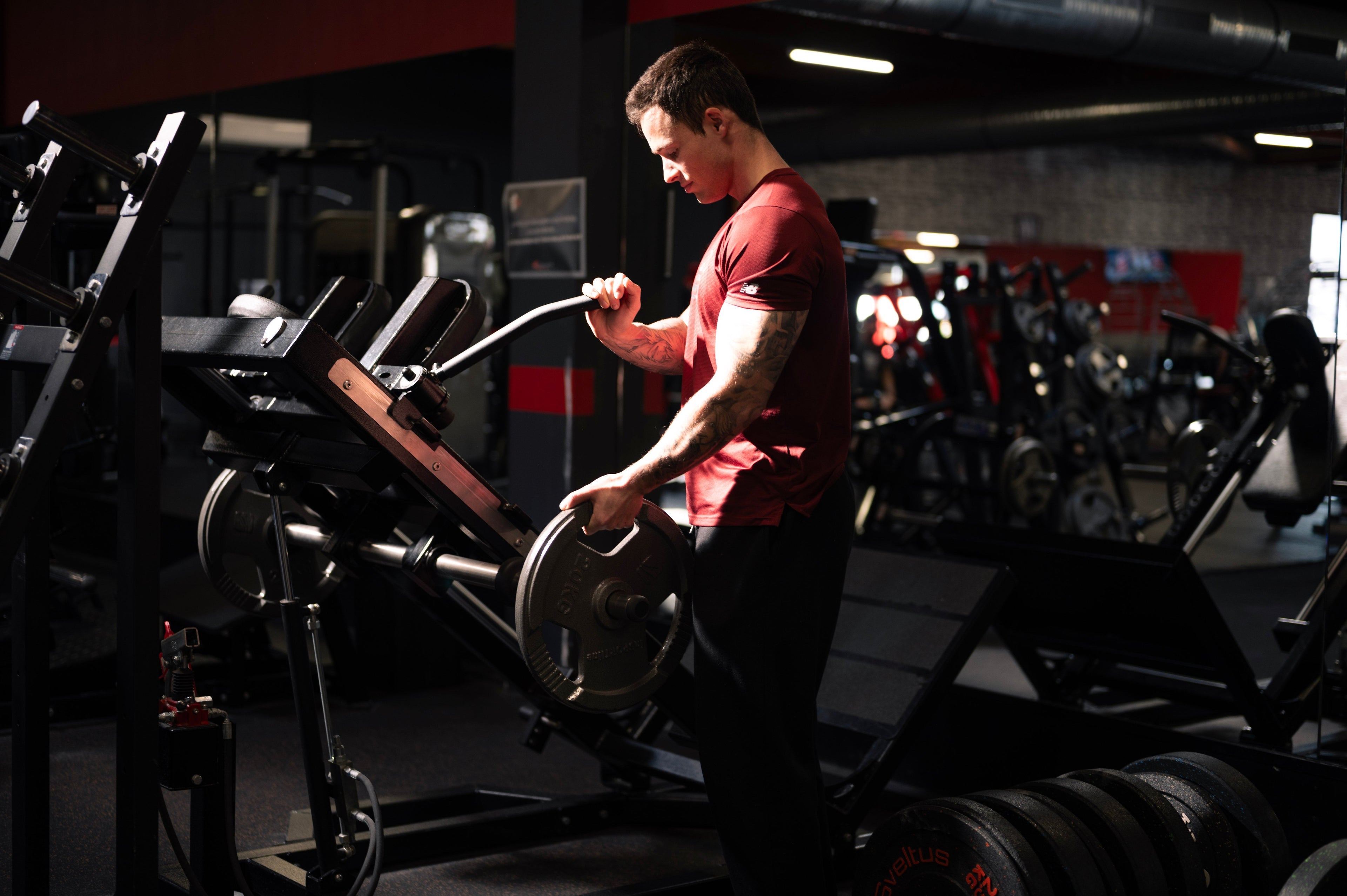 Les Meilleurs Exercices pour les Triceps : Le Guide Complet