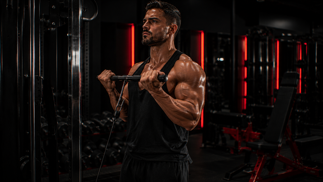 Le curl à la poulie : l'exercice biceps à tension continue que tu sous-estimes