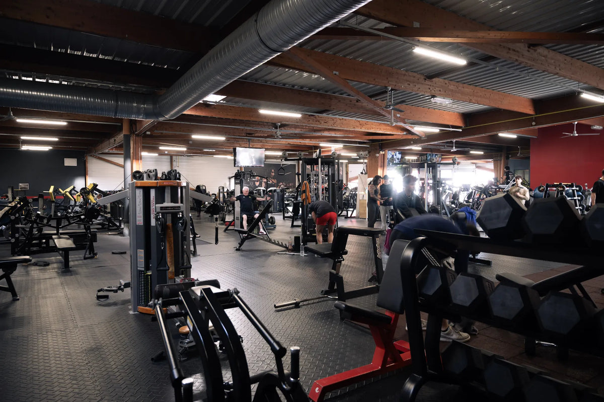 Musculation à La Rochelle : Tout Ce Qu'il Faut Savoir